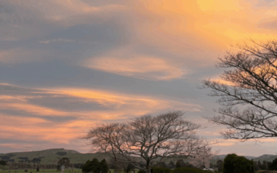 Remembering with Gratitude