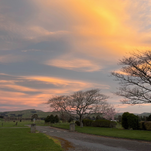 Remembering with Gratitude
