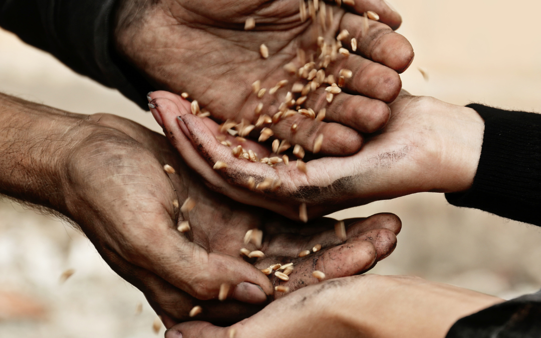 April Easter Reflection from Australia