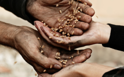 April Easter Reflection from Australia